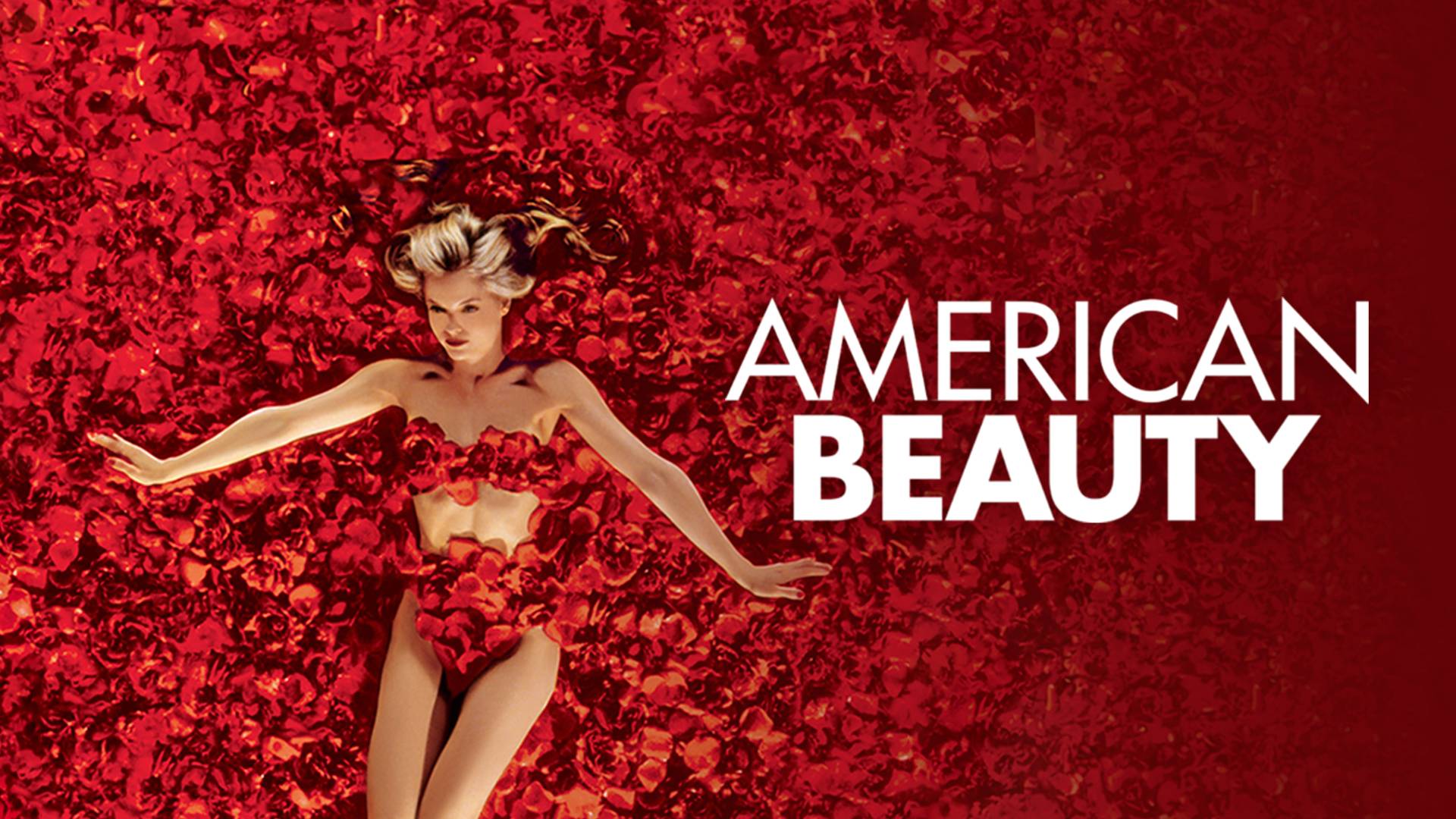 American Beauty