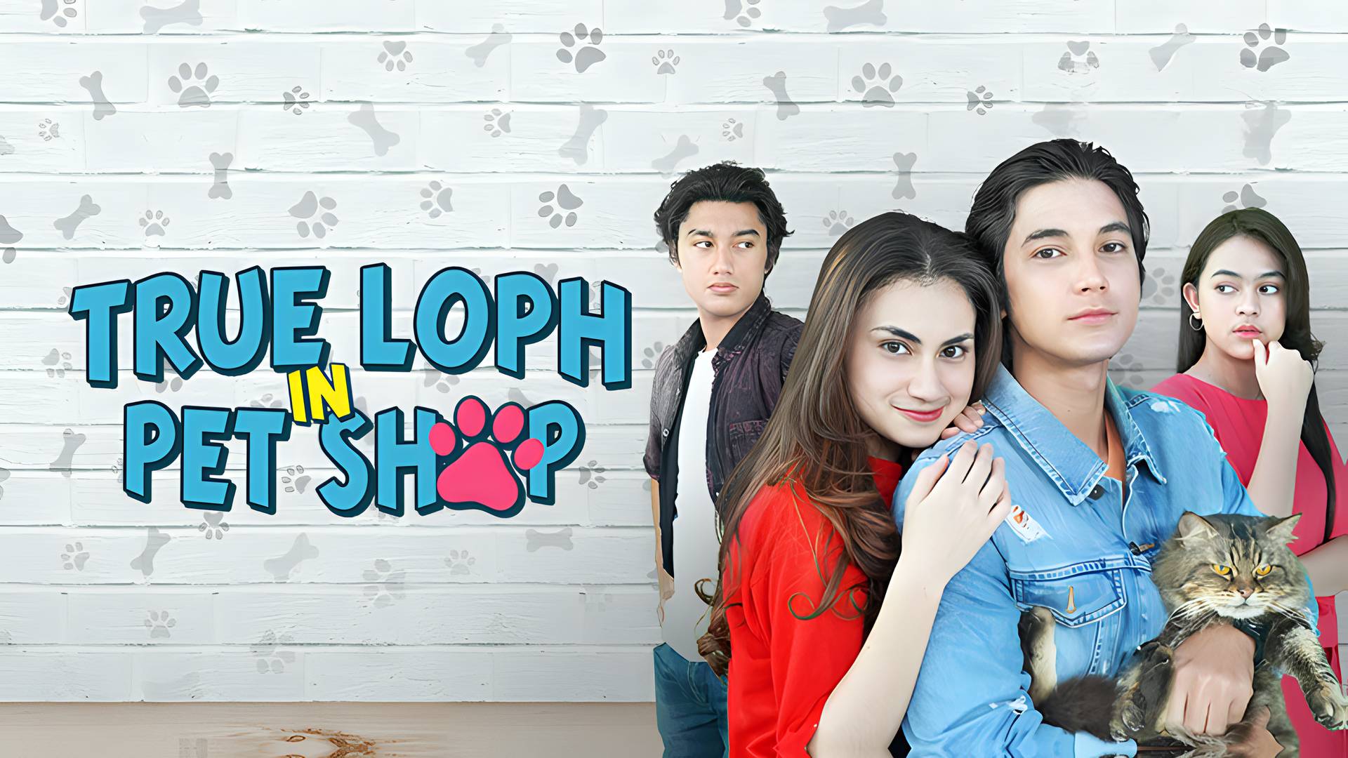 True Loph In Pet Shop