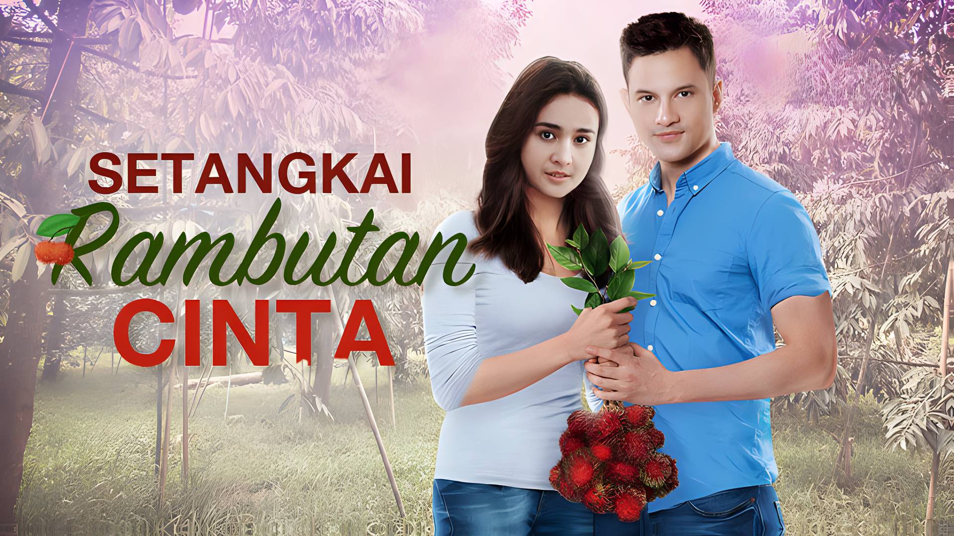 Setangkai Rambutan Cinta