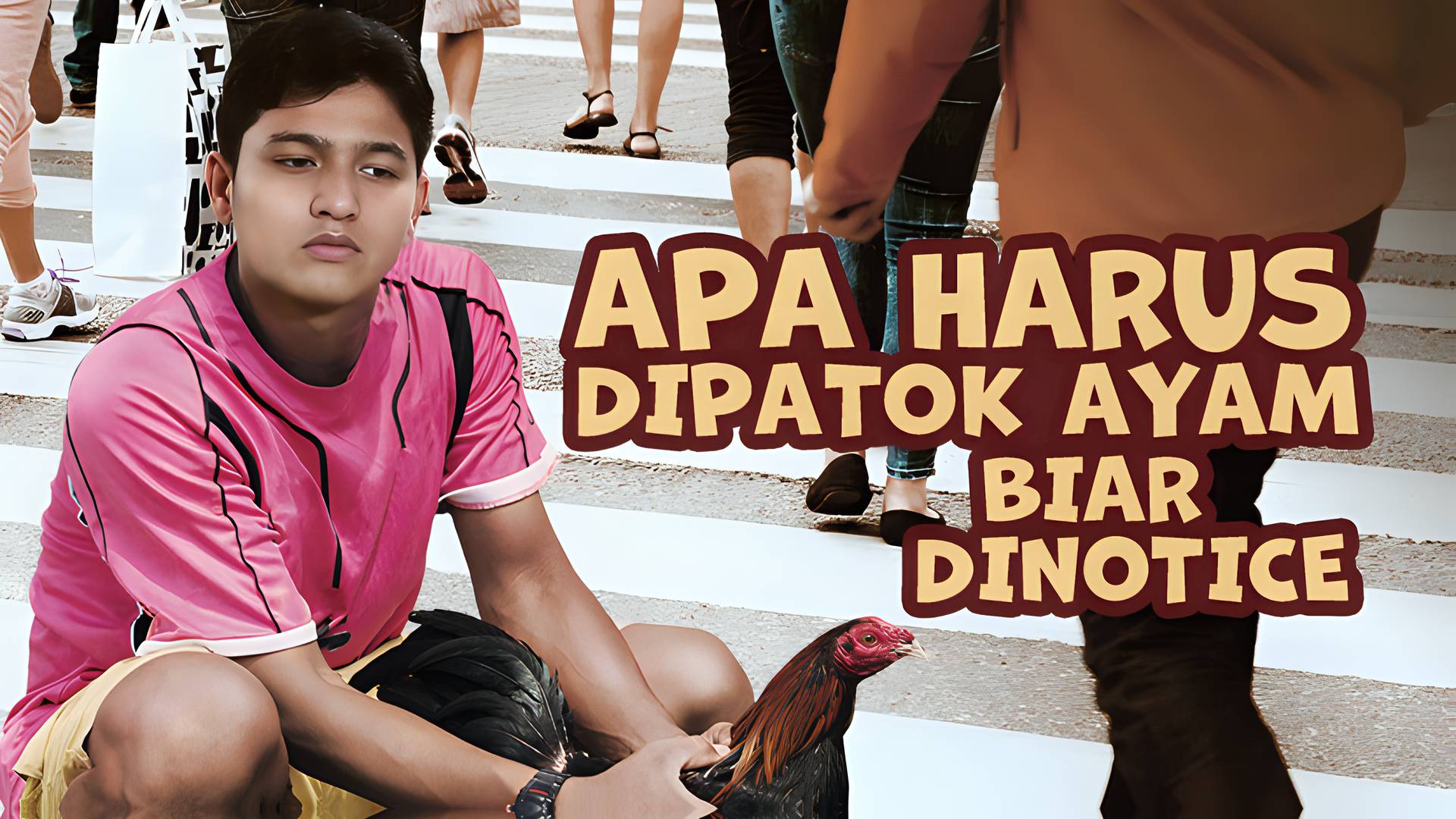 Apa Harus Dipatok Ayam Biar Dinotice