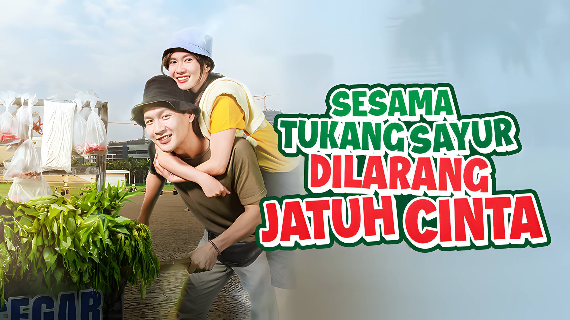 Sesama Tukang Sayur Dilarang Jatuh Cinta