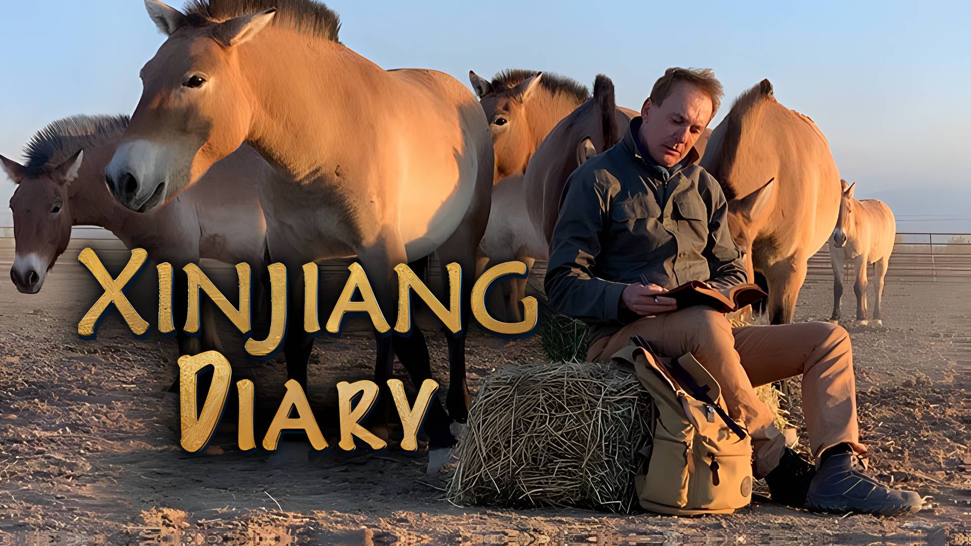 My Xinjiang Diary