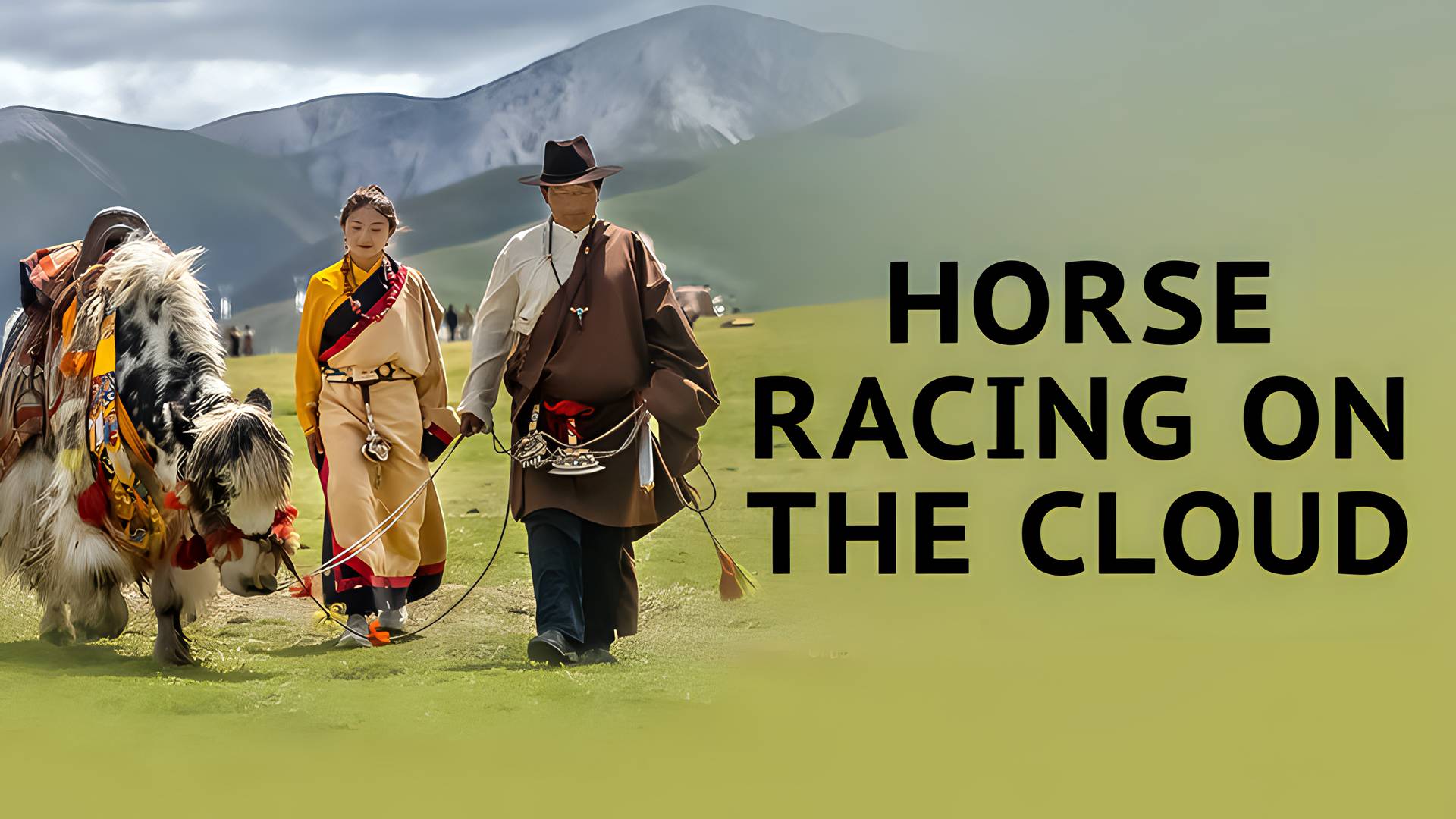 Horse Racing on the Cloud