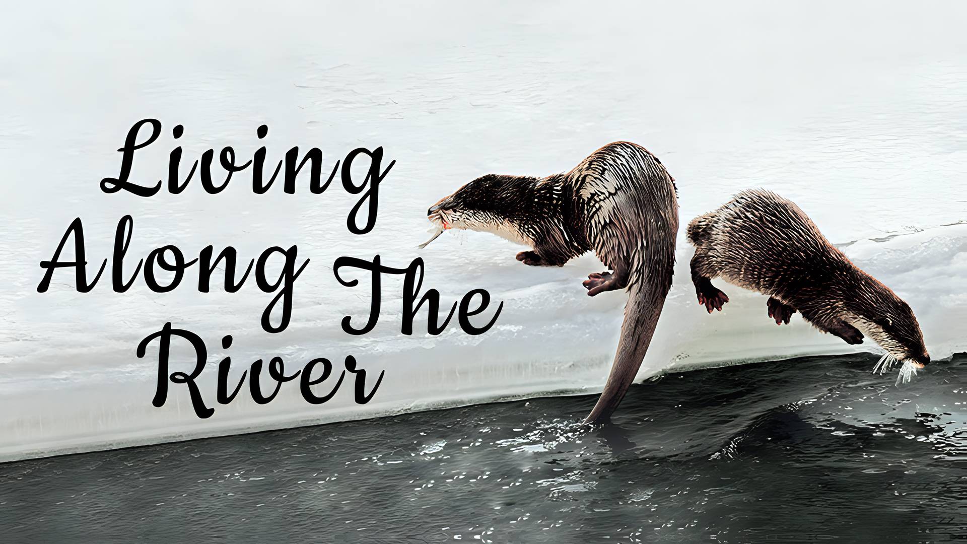 Living along the River