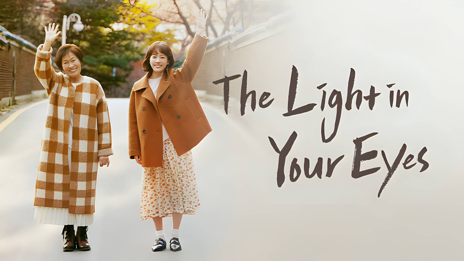 The Light In Your Eyes