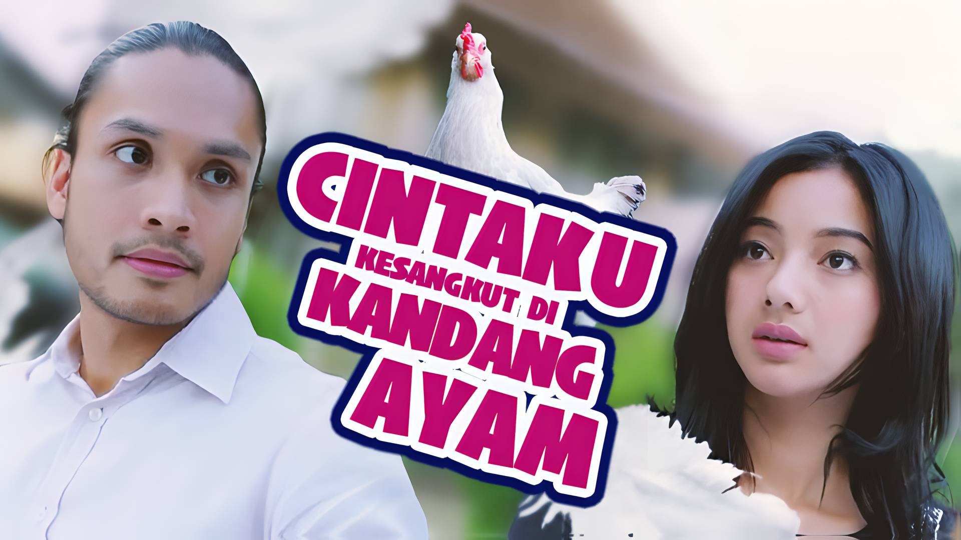 Cintaku Kesangkut Di Kandang Ayam