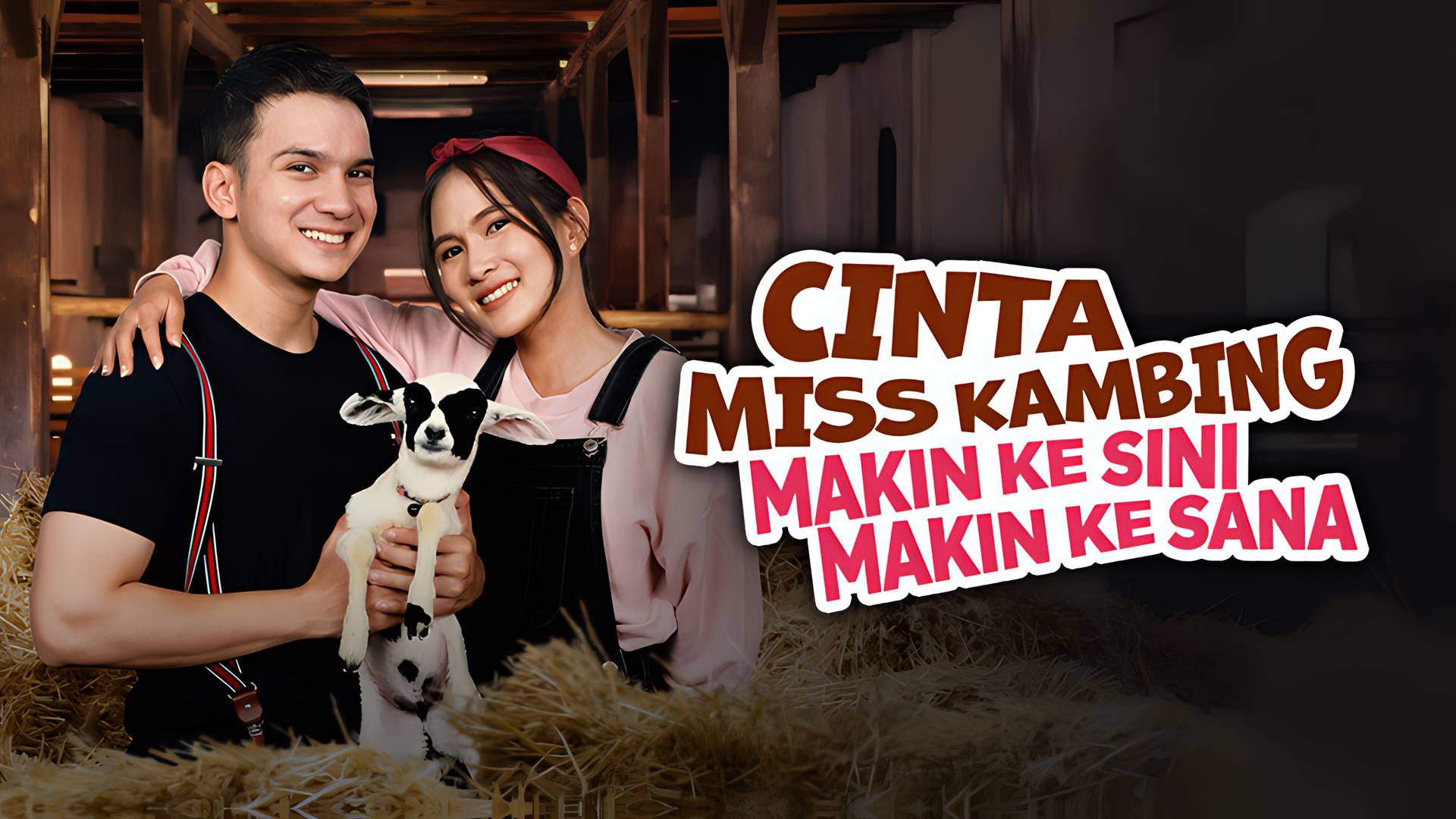 Cinta Miss Kambing, Makin Kesini Makin Kesana
