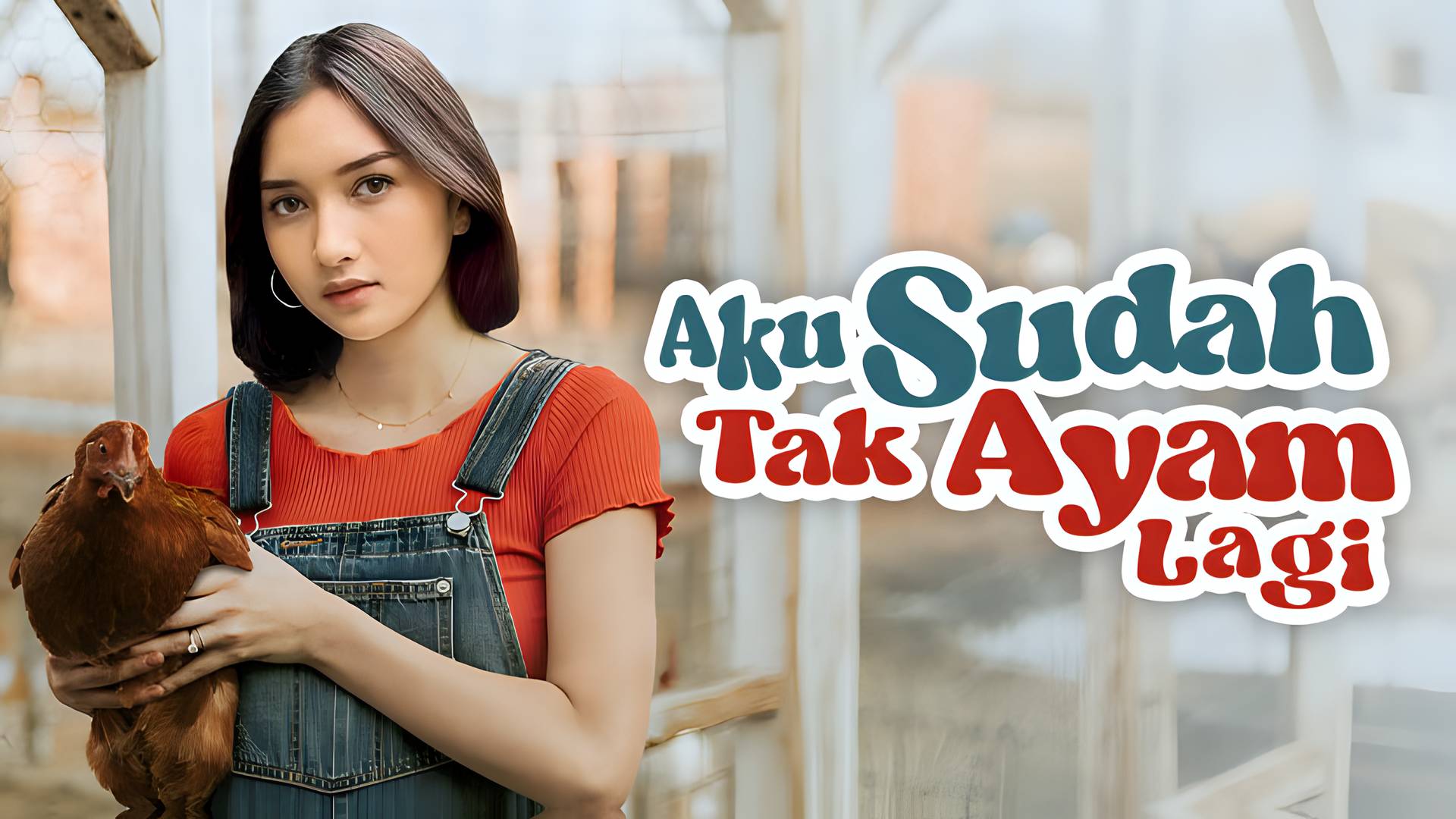 Aku Sudah Tak Ayam Lagi