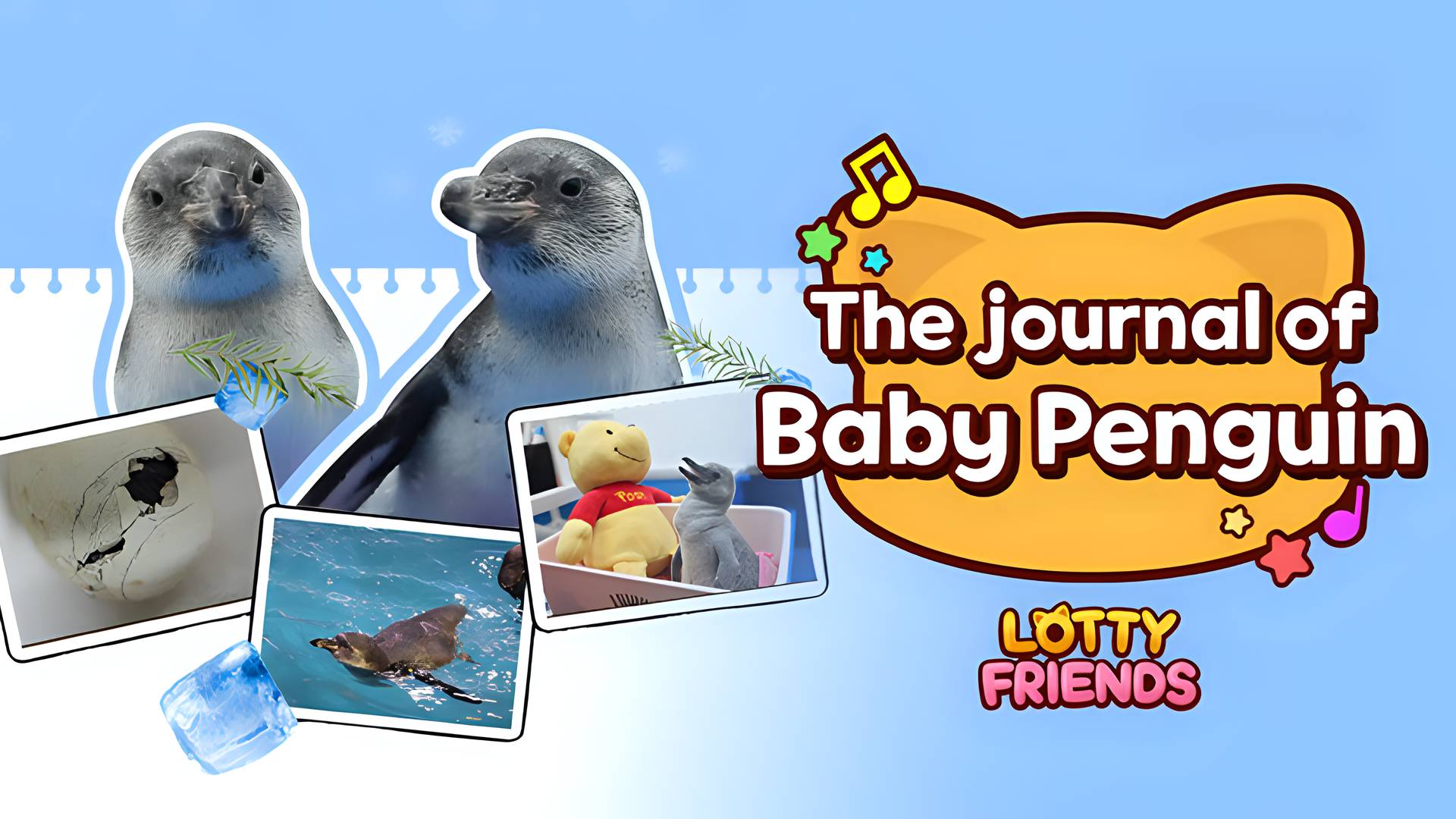Lotty Friends - The journal of Baby penguin